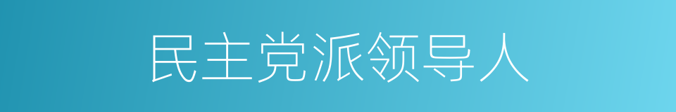 民主党派领导人的同义词