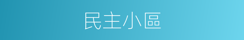 民主小區的同義詞