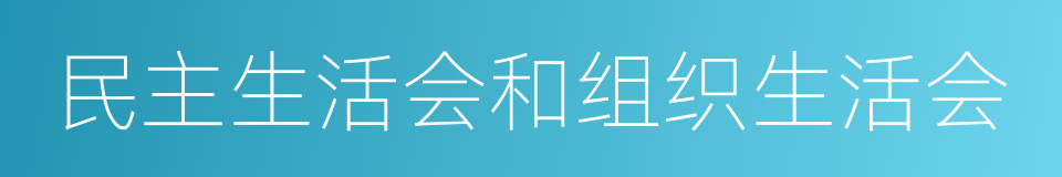 民主生活会和组织生活会的同义词