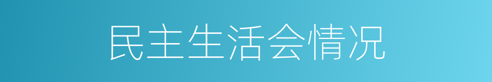 民主生活会情况的同义词