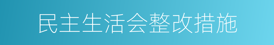 民主生活会整改措施的同义词