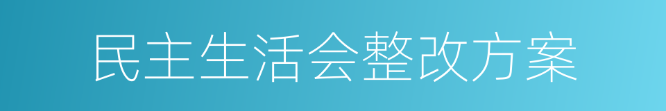 民主生活会整改方案的同义词