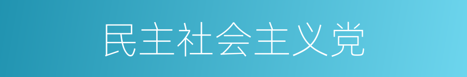 民主社会主义党的同义词