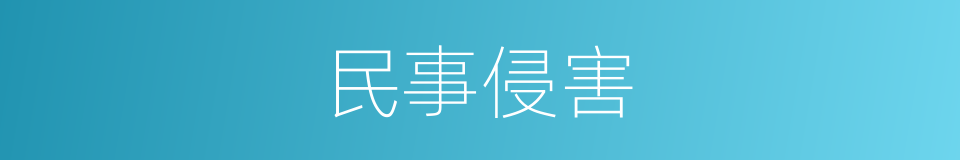 民事侵害的同义词