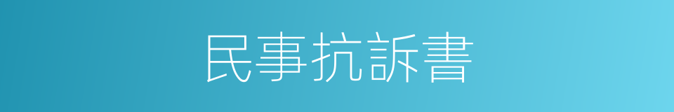 民事抗訴書的同義詞