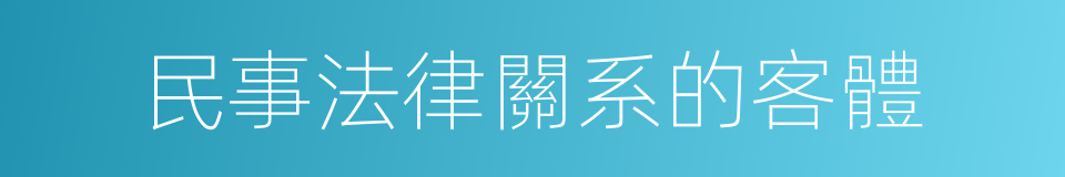 民事法律關系的客體的同義詞