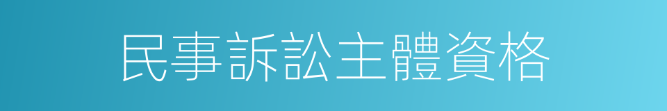 民事訴訟主體資格的同義詞