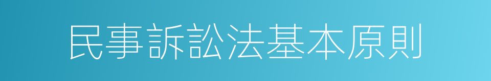 民事訴訟法基本原則的同義詞