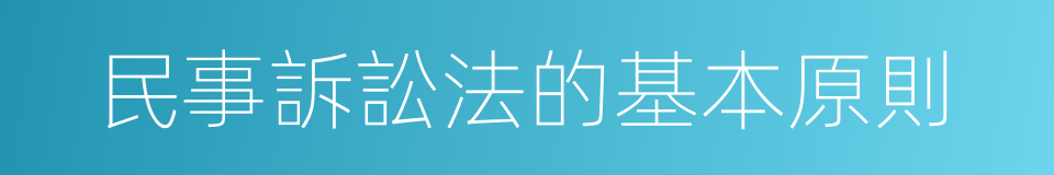 民事訴訟法的基本原則的同義詞