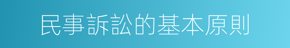 民事訴訟的基本原則的同義詞