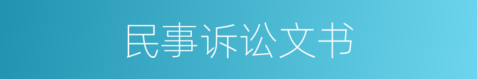 民事诉讼文书的同义词