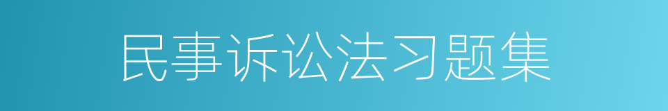 民事诉讼法习题集的同义词
