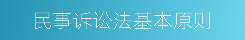 民事诉讼法基本原则的同义词