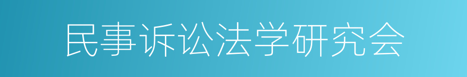 民事诉讼法学研究会的同义词