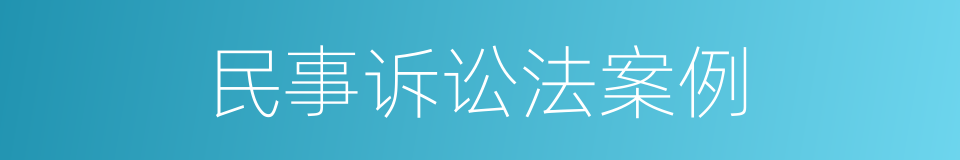 民事诉讼法案例的同义词