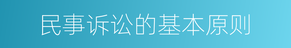 民事诉讼的基本原则的同义词