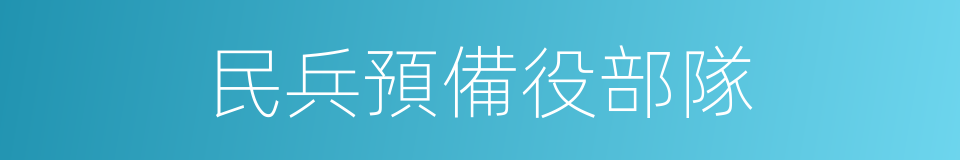 民兵預備役部隊的同義詞