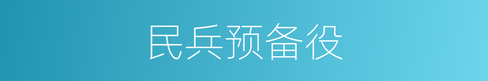 民兵预备役的同义词