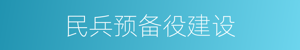 民兵预备役建设的同义词