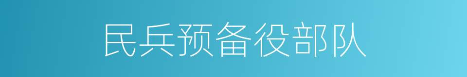 民兵预备役部队的意思