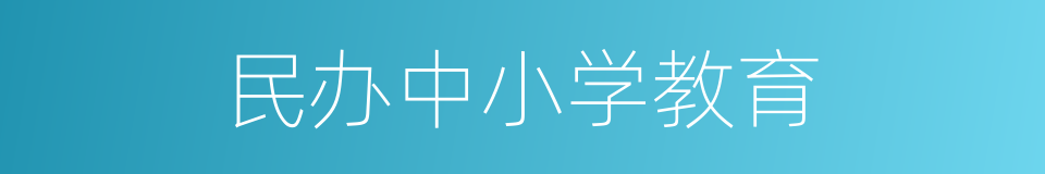 民办中小学教育的同义词