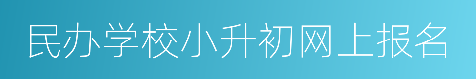 民办学校小升初网上报名的同义词