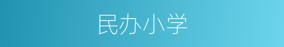 民办小学的同义词