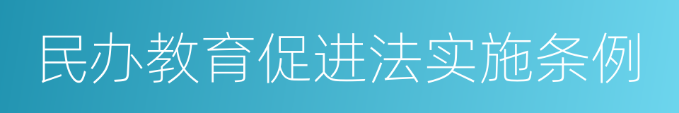 民办教育促进法实施条例的同义词