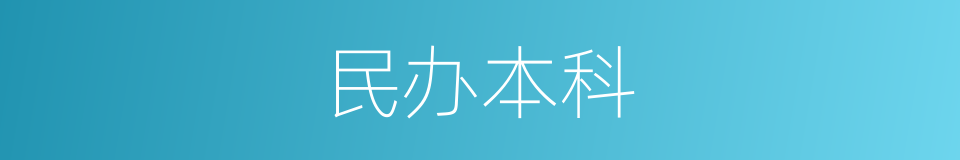 民办本科的同义词