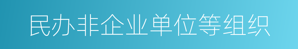 民办非企业单位等组织的同义词