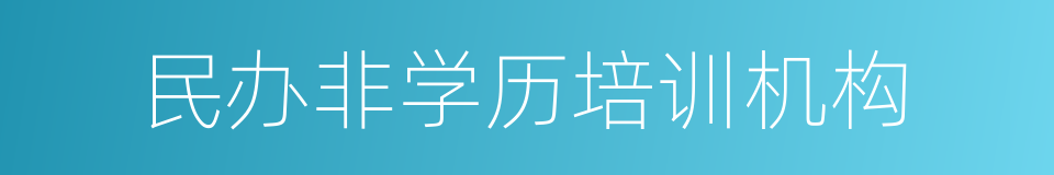 民办非学历培训机构的同义词