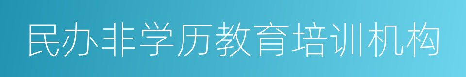 民办非学历教育培训机构的同义词