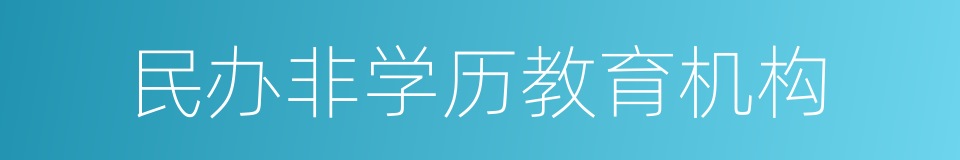 民办非学历教育机构的同义词