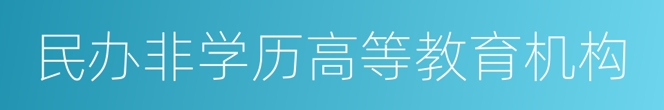 民办非学历高等教育机构的同义词