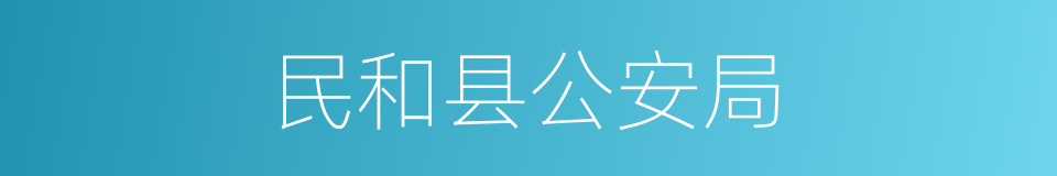 民和县公安局的同义词