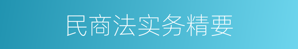 民商法实务精要的同义词