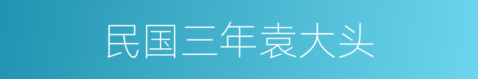 民国三年袁大头的同义词