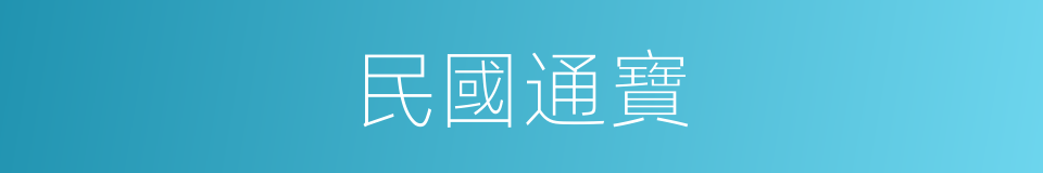 民國通寶的同義詞