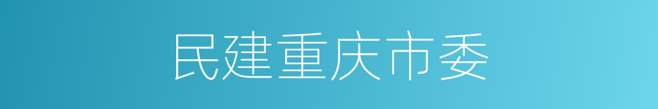 民建重庆市委的同义词