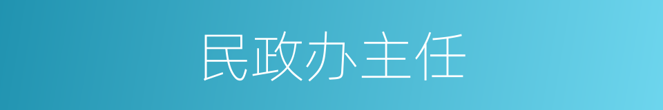 民政办主任的同义词