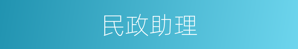 民政助理的意思