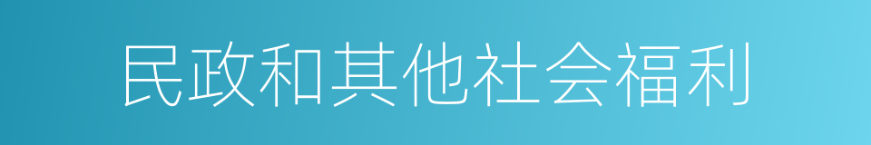 民政和其他社会福利的同义词