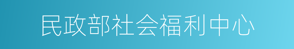 民政部社会福利中心的同义词