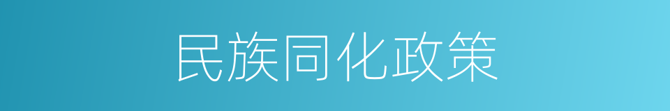 民族同化政策的同义词