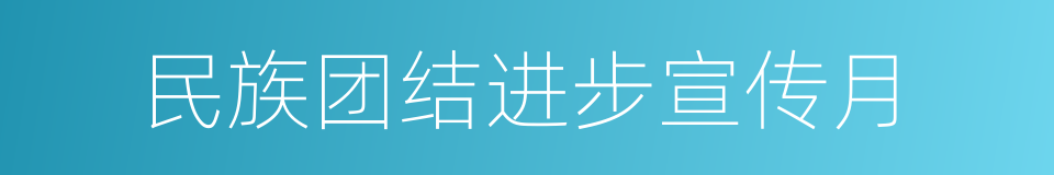 民族团结进步宣传月的同义词