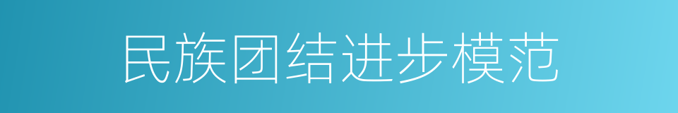 民族团结进步模范的同义词