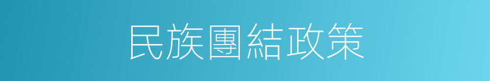 民族團結政策的同義詞