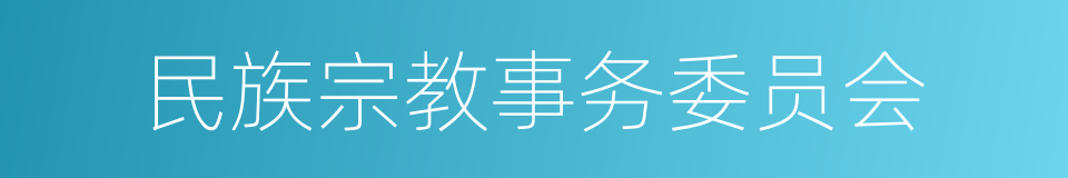 民族宗教事务委员会的同义词