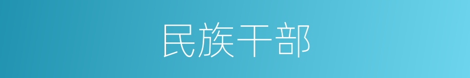 民族干部的同义词