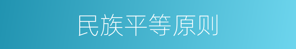 民族平等原则的同义词